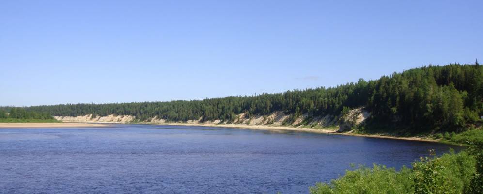 
            Фотография Курги