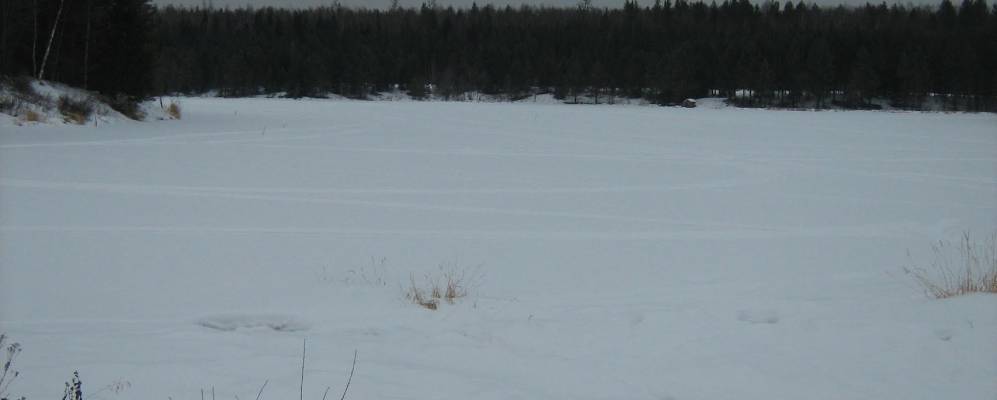 
            Фотография Яборково