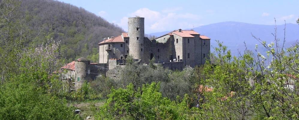 Фотография Джаведо