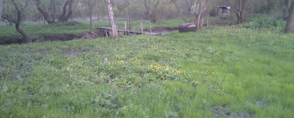 
            Фотография Круглого