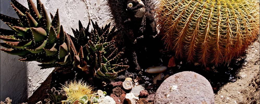 
            Фотография Тельде