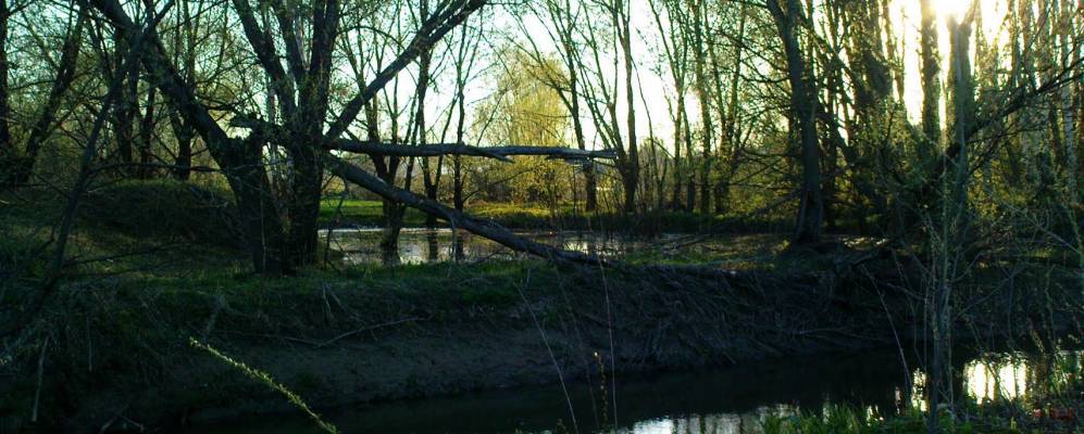 
            Фотография Чемурши