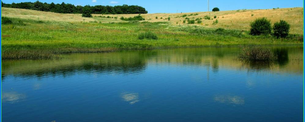 
            Фотография Колоколина