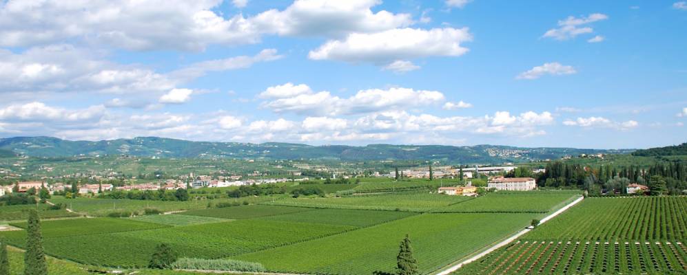 
            Фотография Сан-Пьетро-ин-Карьяно