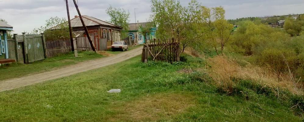 
            Фотография Сыропятки