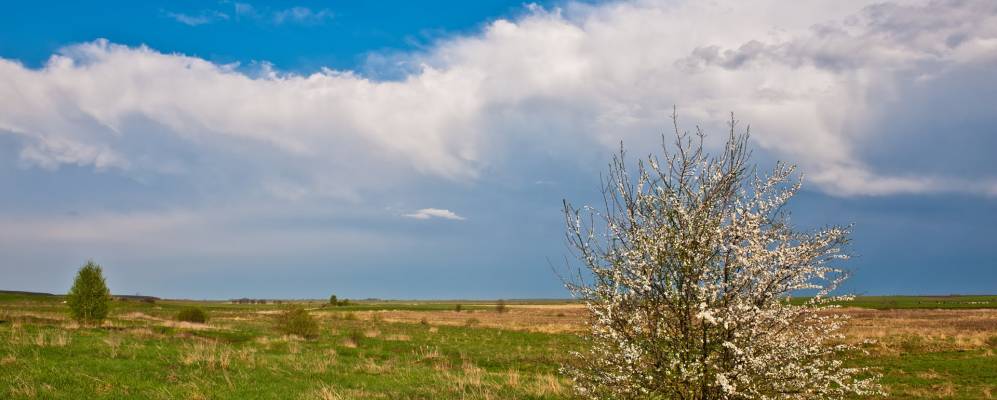 Фотография деревни Новинки