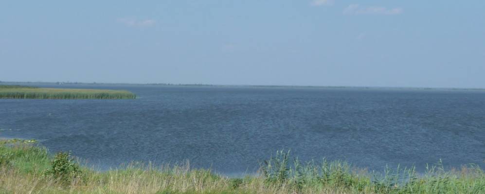 
            Фотография Дубровы