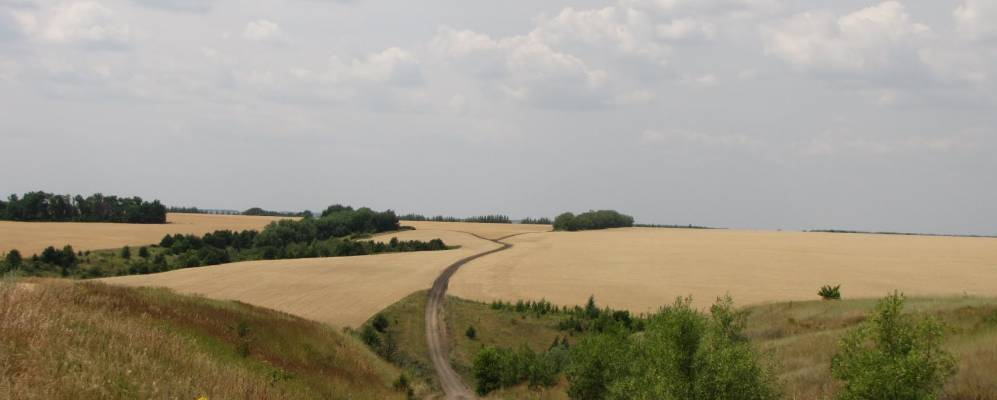 
            Фотография Катино