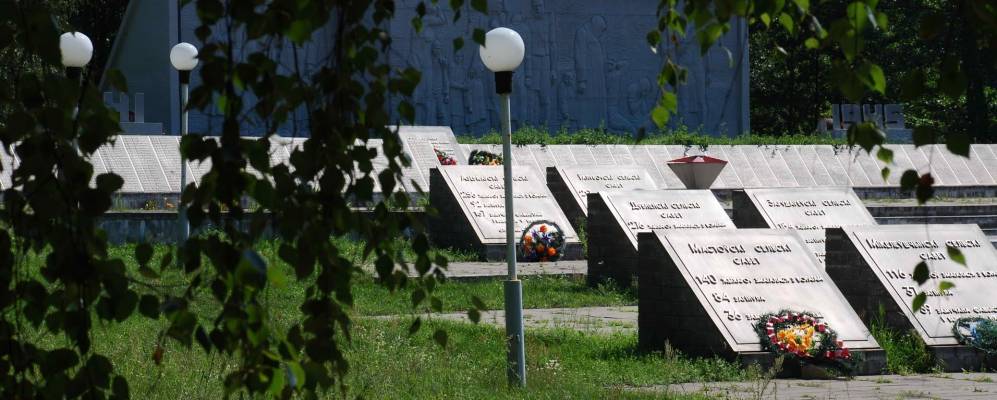 Фотография Песчанки