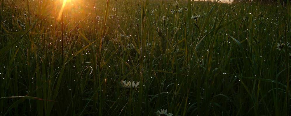 
            Фотография Селищи