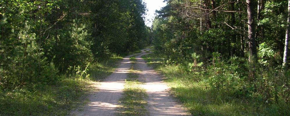 
            Фотография Комсомольца