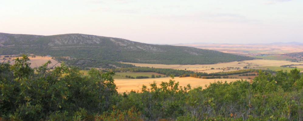 
            Фотография Селас