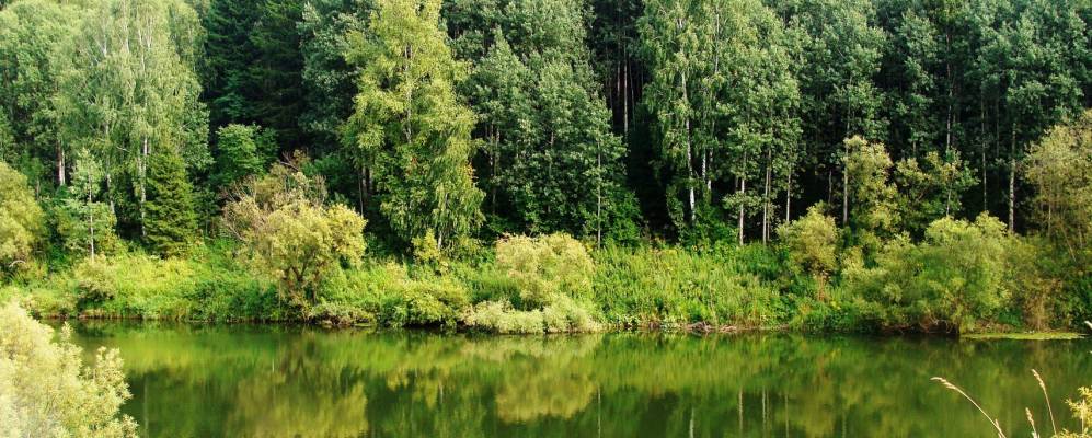 
            Фотография Антоновки