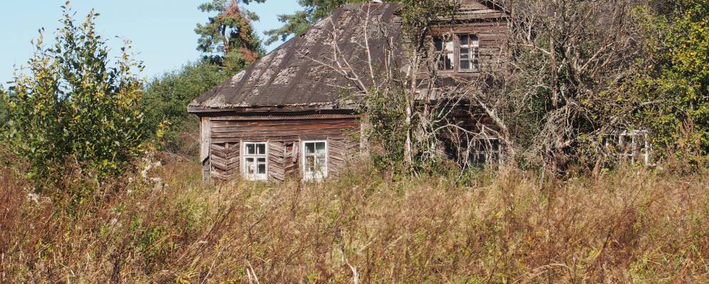 Фотография Зоркино