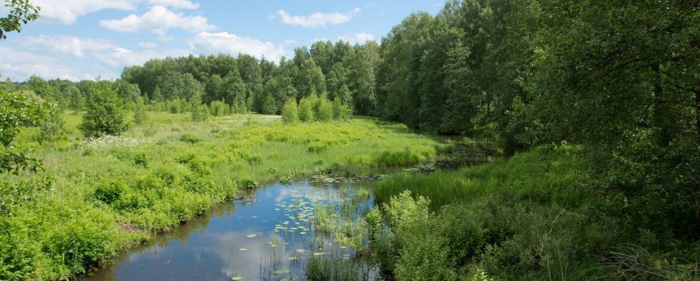 
            Фотография Высоково