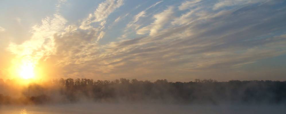 
            Фотография Солёного