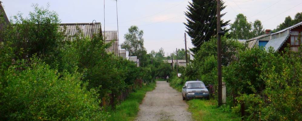 
            Фотография Сарбалы