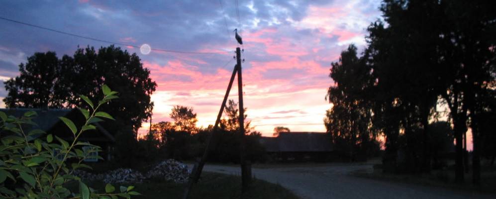 Фотография Радецка