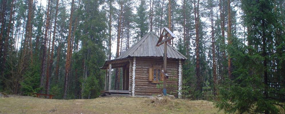 
            Фотография Ольховки