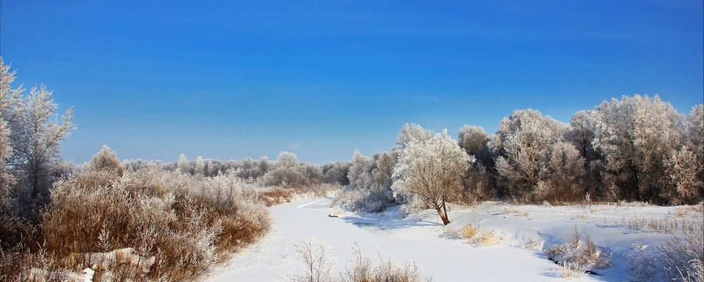 Фотография Нордовки