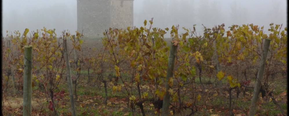 
            Фотография Монтаньяк-Сюр-Овиньон