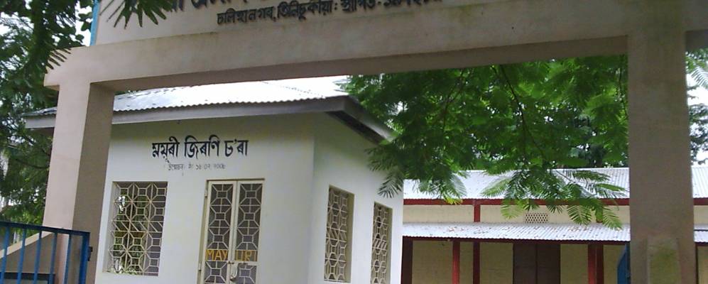 Фотография Тинсукии