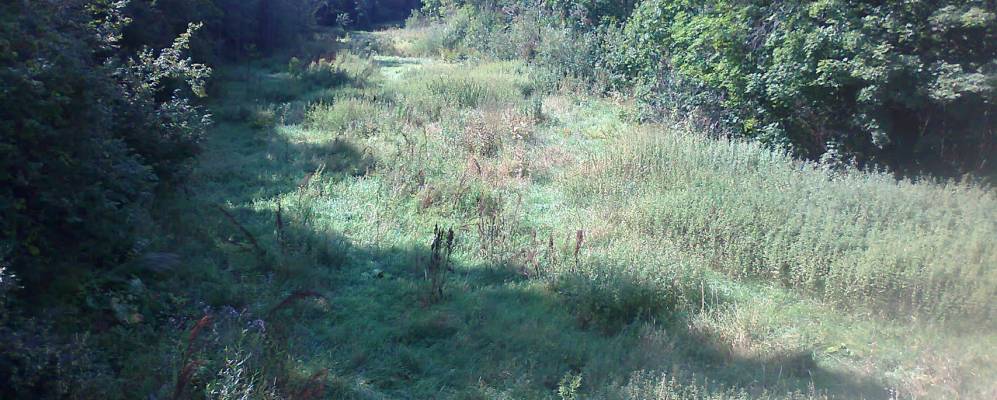 
            Фотография Нерлея