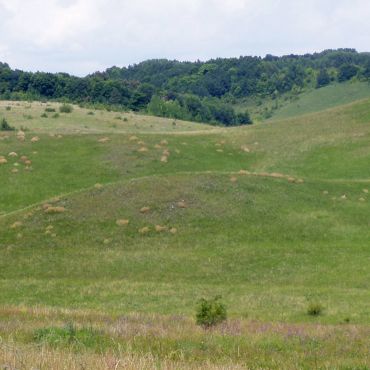 Большие Бутырки