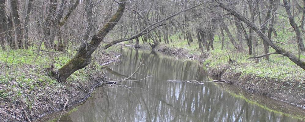 
            Фотография Новофедоровки