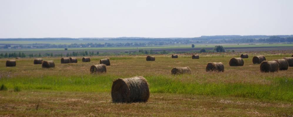 
            Фотография Кевдо-Вершины