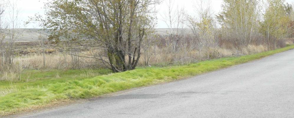 
            Фотография Общего