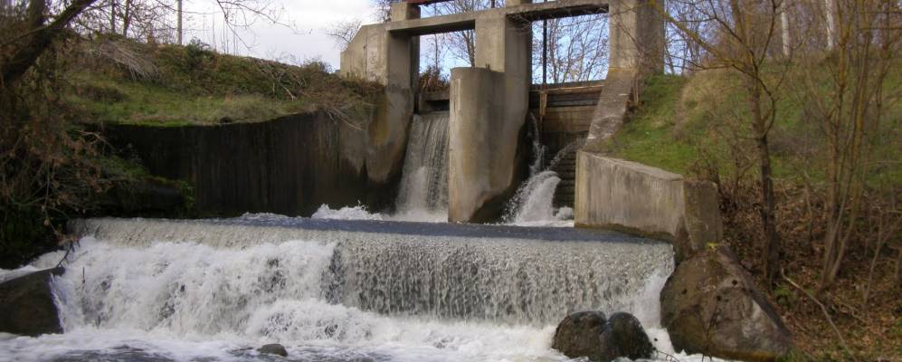 
            Фотография Шумы