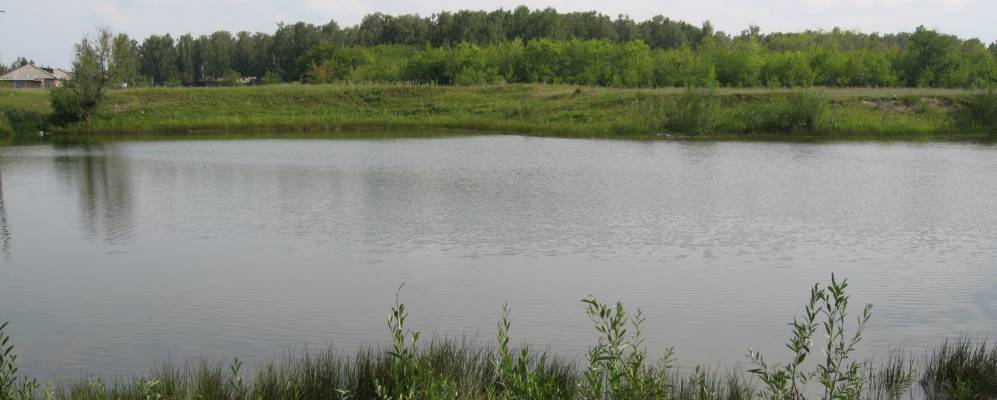 
            Фотография Питомника-3, 19