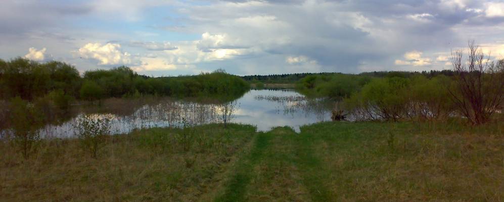 
            Фотография Звернихи
