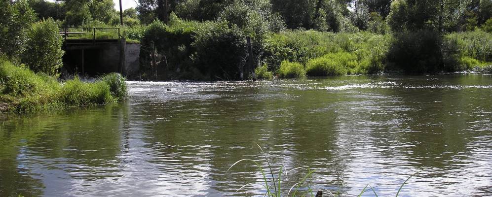 
            Фотография Волхонщины