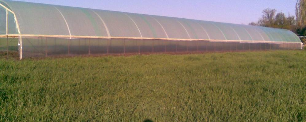 
            Фотография Андреедмитриевского