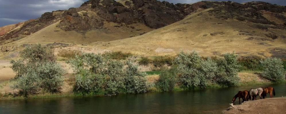 
            Фотография села Курты