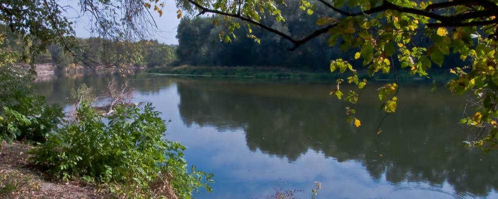 
            Фотография Пришиба