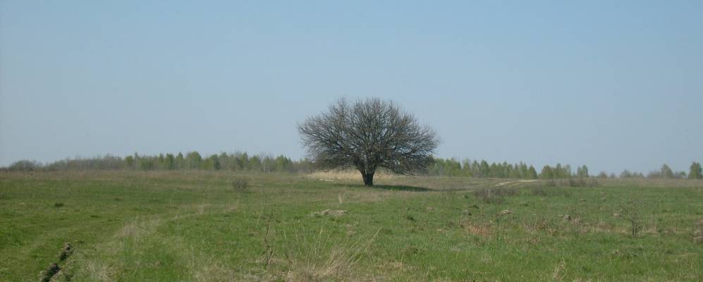 
            Фотография Йосиповки