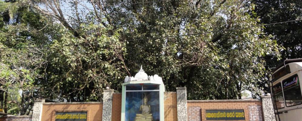 
            Фотография Колоннавы