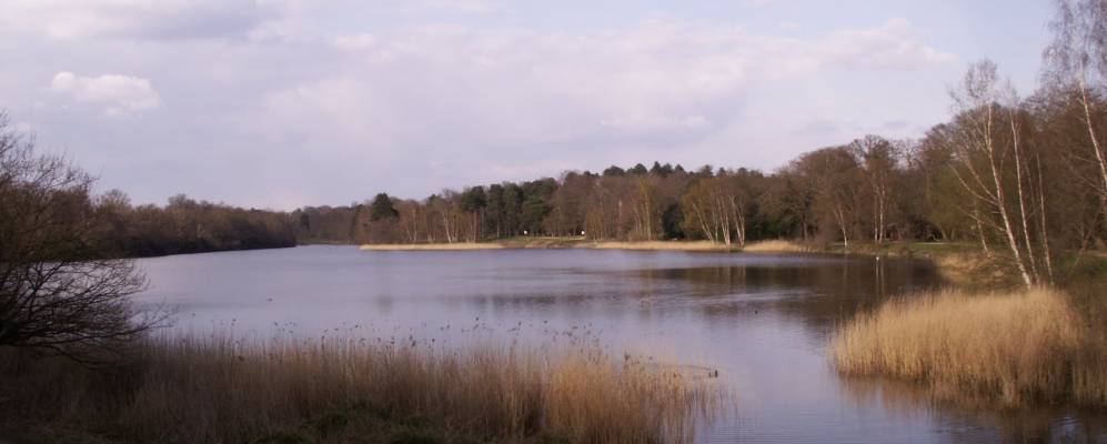 
            Фотография Вирджиния Уотера