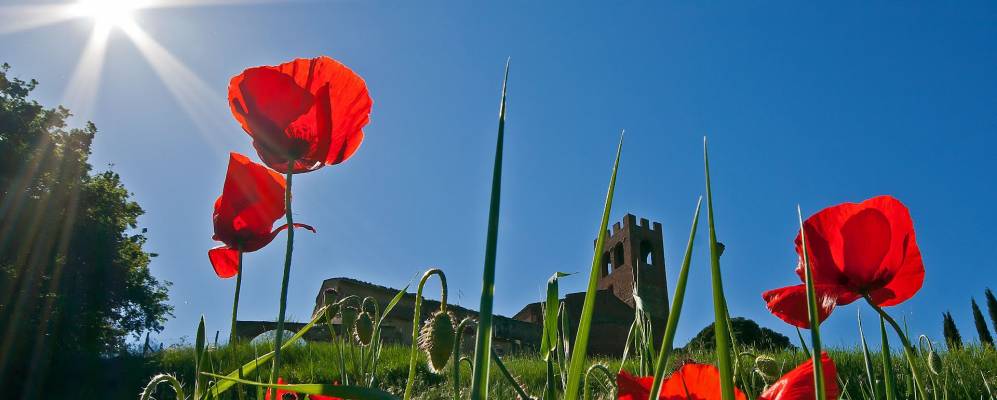 
            Фотография Сан - Джованни-а-Кораццано