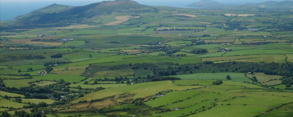 Фотография Динаса