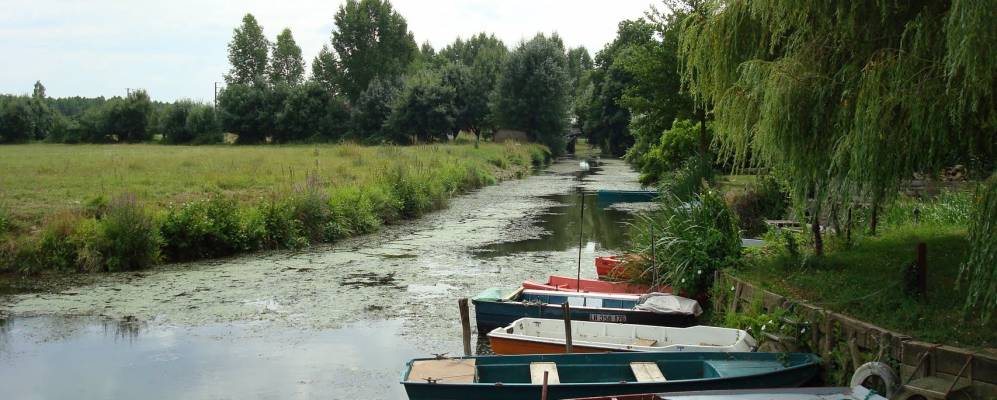 
            Фотография Морана