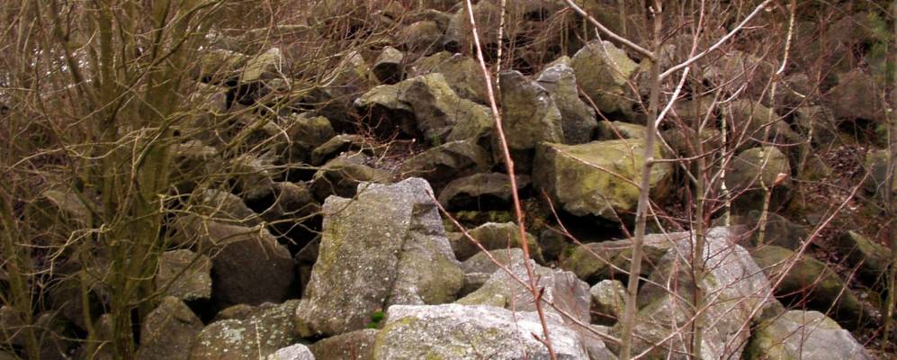 
            Фотография Филинцы