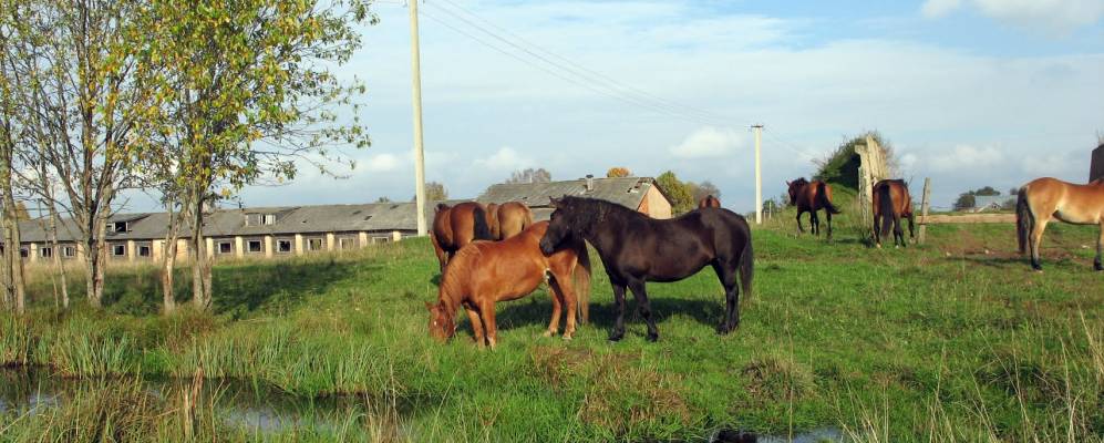Фотография Щеглово