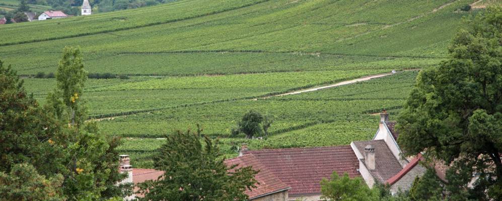 
            Фотография Пюлиньи-Монраше