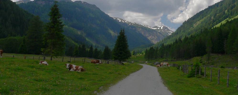 
            Фотография Хинтервайспрах
