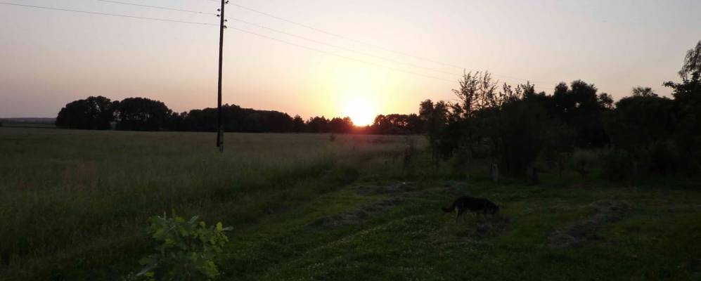 Фотография Кривчиково