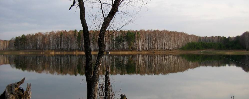 
            Фотография Степного